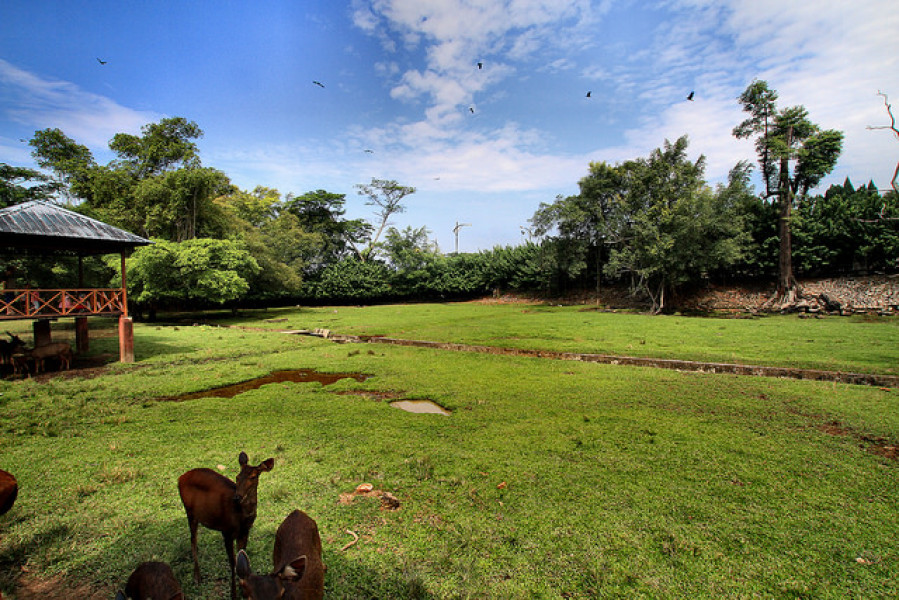 Backpacking Johor Bahru, Malaysia 2024 Trip of Trips