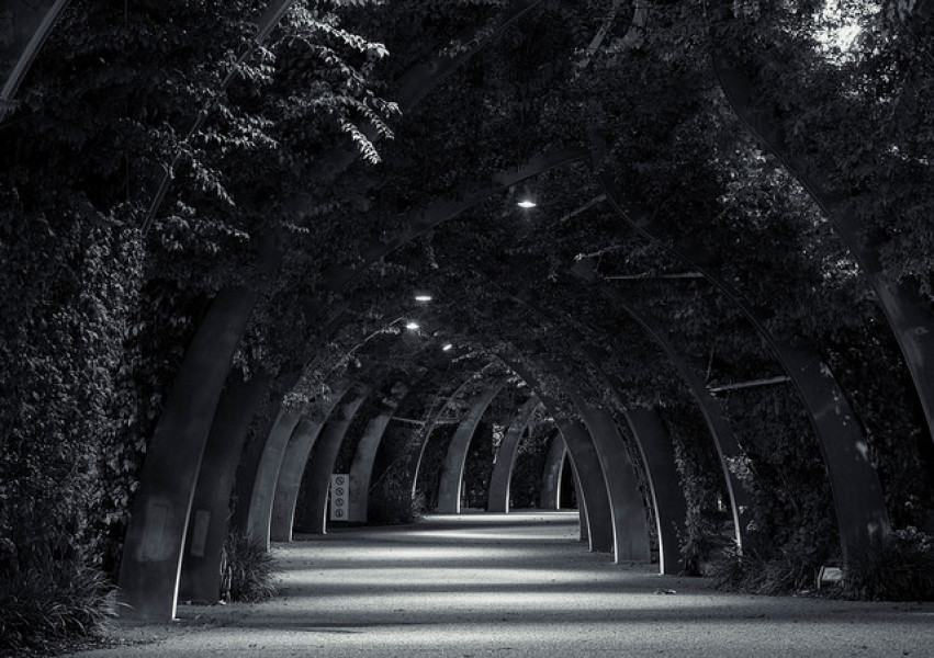 Backpacking Brisbane, Australia 2023 Trip of Trips